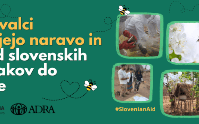 Opraševalci povezujejo naravo in ljudi: od slovenskih čebelnjakov do Zambije