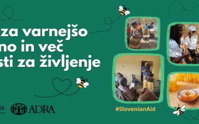 Čebele za varnejšo prehrano in več možnosti za življenje doma