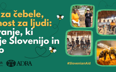 Znanje za čebele, prihodnost za ljudi: sodelovanje, ki povezuje Slovenijo in Zambijo